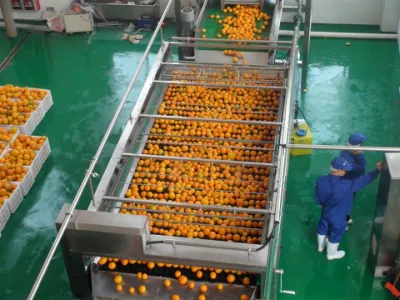 Komplette Orangensaftverarbeitungs- und Ölpresslinie für Zitrusproduktionsmaschinen